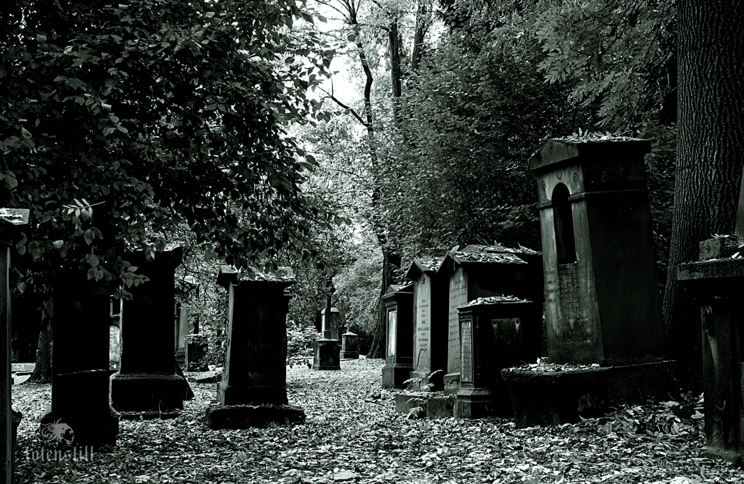 Stuttgart Friedhof Hoppenlau